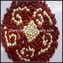 crop british red kidney bean - product's photo