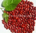 raw dark red kidney beans - product's photo
