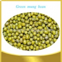 chinese green mung bean - product's photo