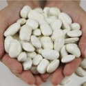 supply chinese new crop white kidney bean - product's photo