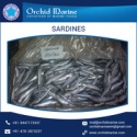 sardine fish by trusted sea food - product's photo