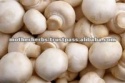 best quality mushrooms - product's photo