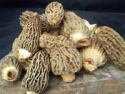dried morel mushrooms - product's photo