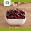 hot selling china beans red kidney bean - product's photo