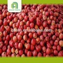 magic red kidney beans small kidney bean - product's photo
