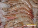 fresh pink shrimp - product's photo