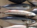 400-600g seafrozen mackerel fish - product's photo