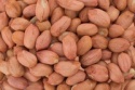 raw peanut kernel - product's photo