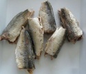 canned mackerel in brine - product's photo