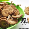 top-quality fresh wild dried mushroom - product's photo