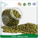 green mung beans  - product's photo