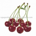 sour cherry frozen fruit - product's photo
