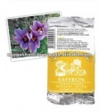 saffron powder spice - product's photo