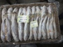 silver croaker fish - product's photo