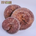 100% natural organic ganoderma lucidum /lingzhi mushroom/ reishi - product's photo