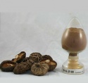 100% natural shiitake mushroom powder - product's photo