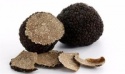 dried black truffle slice, fungus wild, buy truffle, mushroom - product's photo