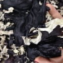 organic washed white back dried black fungus mushroom - product's photo