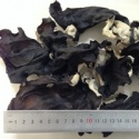 edible dried white and black mushroom fungus - product's photo