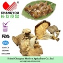 dried oyster mushrooms - product's photo