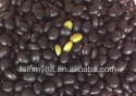 big black bean/black soya bean/black soybean with green kernel - product's photo