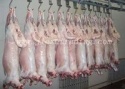 sheep meat - product's photo