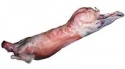 sheep meat - product's photo
