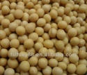 medium yellow bean/soya bean/soybean 4.0-7.0mm - product's photo