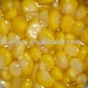 canned sweet corn with high quality - product's photo