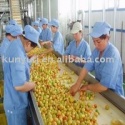 apricot puree concentrate - product's photo