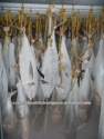 whole round yellowfin tuna - product's photo