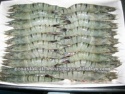 fresh frozen black tiger shrimp - product's photo