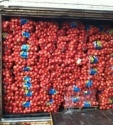 red onion ( fresh )  - product's photo
