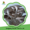 supply high quality oyster mushrooms - product's photo