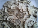 wholesale high quality ad mushroom - product's photo