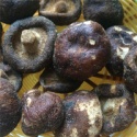 hot sale health snack vf shiitake mushroom - product's photo