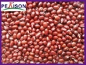 small red kidney beans - product's photo