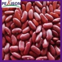 new crop british red kidney bean - product's photo