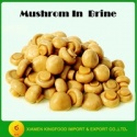 canned whole mushroom champignon in brine - product's photo