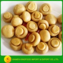chinese best quality canned mushoom whole button mushroom - product's photo