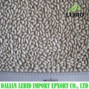 new crop white kidney beans - product's photo