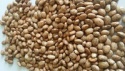pinto beans - product's photo