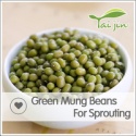 best quality new crop chinese wholesale green mung beans for sprouting - product's photo