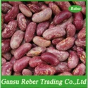 light purple speckled kidney beans - product's photo