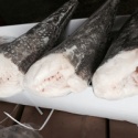  patagonian toothfish - product's photo