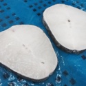  patagonian toothfish steaks - product's photo