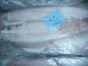 squid loligo - product's photo