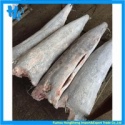  frozen blue marlin - product's photo