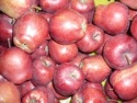 washington red delicious apple - product's photo