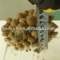 brown shimeji mushrooms - product's photo